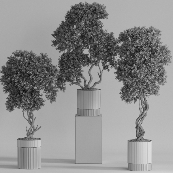 Plants collection 743
