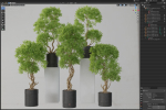 Plants collection 743