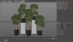 Plants collection 743