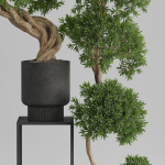 Plants collection 744