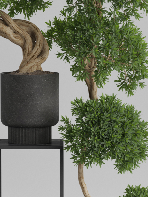 plants-collection-744-3d-model-max-obj-fbx-c4d-blend