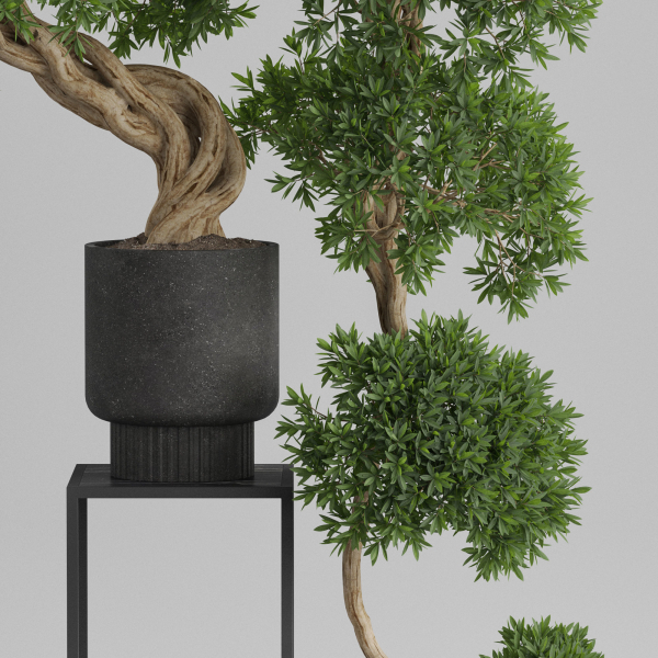 Plants collection 744