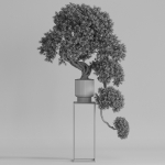 Plants collection 744