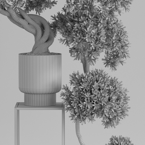 Plants collection 744