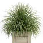 Plants collection 751