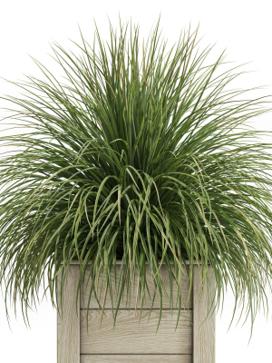 plants-collection-751-3d-model-max-obj-fbx-c4d-blend