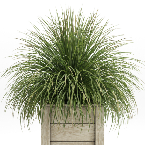 Plants collection 751