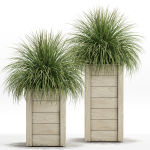 Plants collection 751
