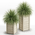 Plants collection 751