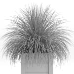 Plants collection 751