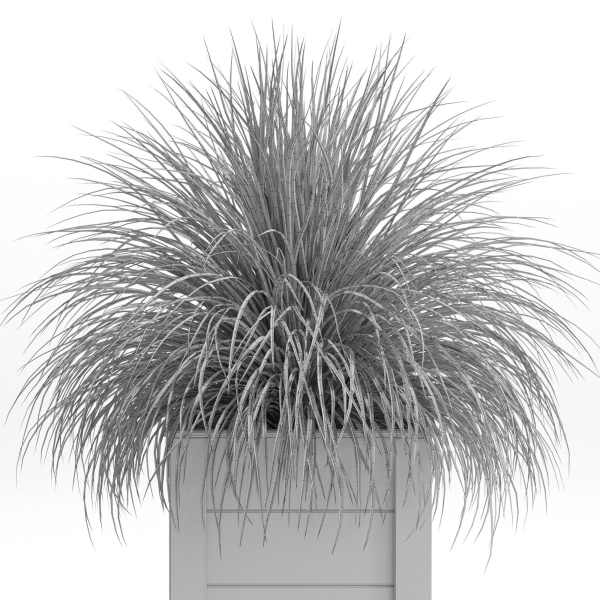 Plants collection 751