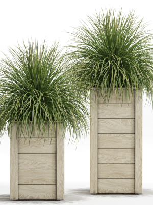 Plants collection 751
