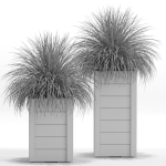 Plants collection 751