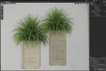 Plants collection 751