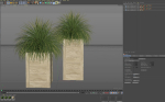 Plants collection 751