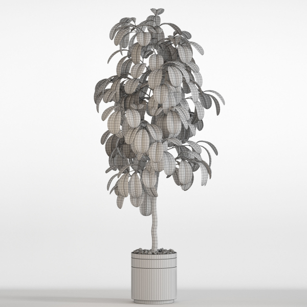 Plants collection 754
