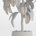 Plants collection 756