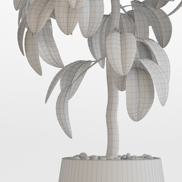 Plants collection 756