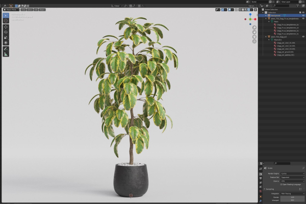 Plants collection 756
