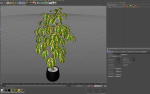 Plants collection 756