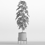 Plants collection 758