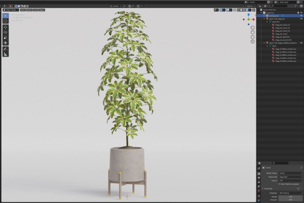 Plants collection 758