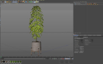Plants collection 758