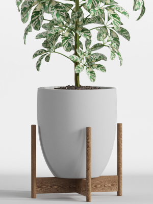 plants-collection-760-3d-model-max-obj-fbx-c4d-blend