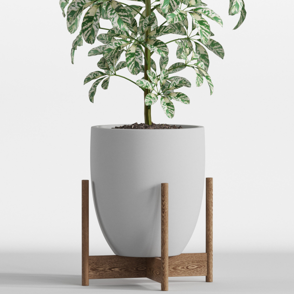 Plants collection 760