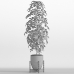 Plants collection 760