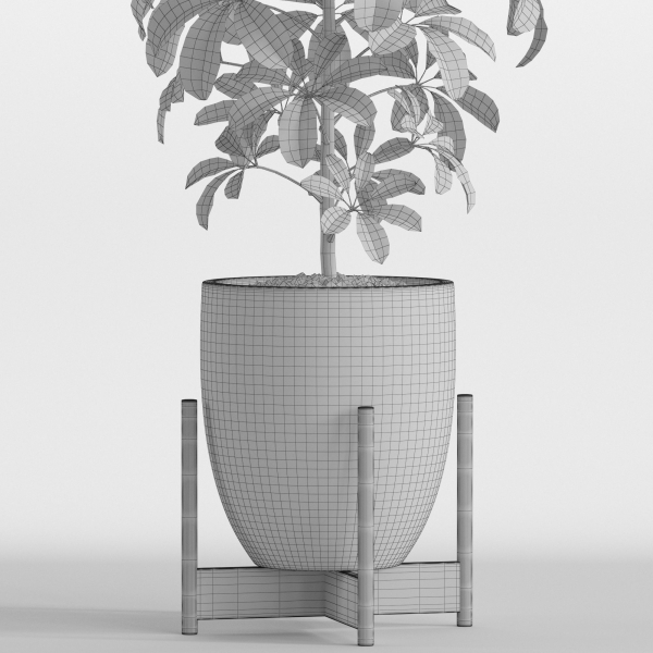 Plants collection 760