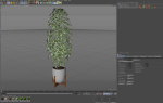 Plants collection 760
