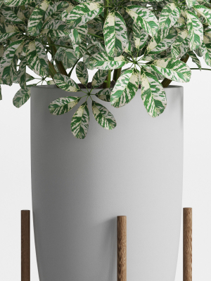 plants-collection-761-3d-model-max-obj-fbx-c4d-blend
