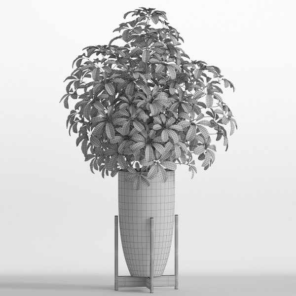 Plants collection 761
