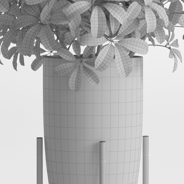 Plants collection 761