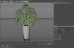 Plants collection 761