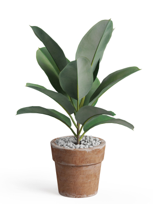 plants-collection-763-3d-model-max-obj-fbx-c4d-blend