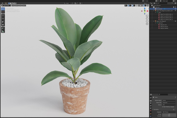 Plants collection 763