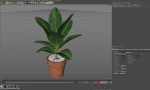 Plants collection 763