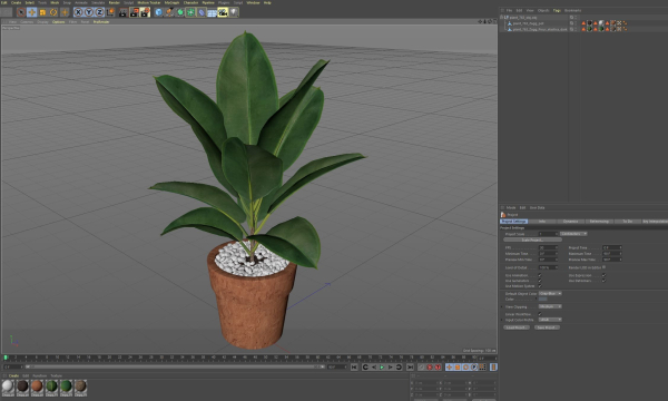 Plants collection 763