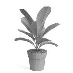 Plants collection 764