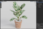Plants collection 764