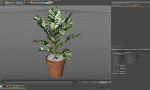 Plants collection 764