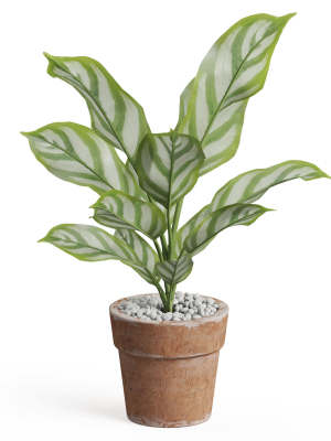 plants-collection-766-3d-model-max-obj-fbx-c4d-blend