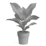 Plants collection 766