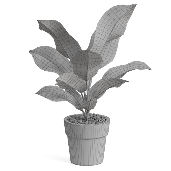 Plants collection 766
