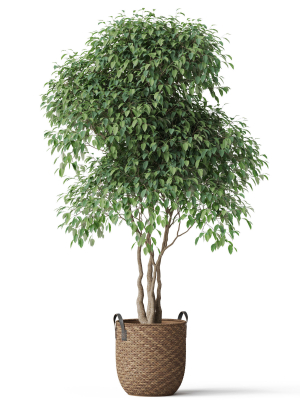 plants-collection-782-3d-model-max-obj-fbx-c4d-blend