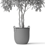 Plants collection 782