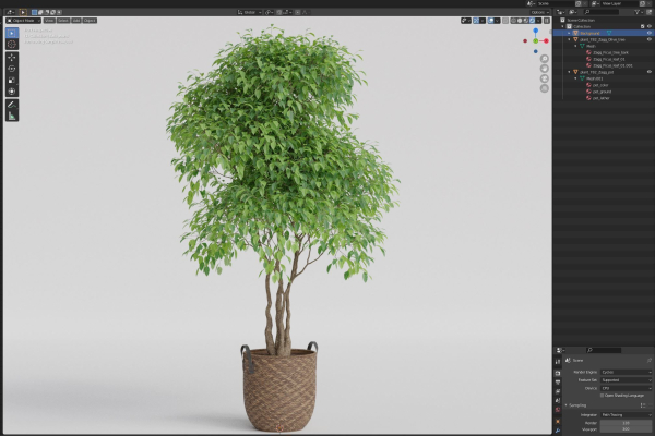 Plants collection 782