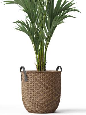 plants-collection-783-3d-model-max-obj-fbx-c4d-blend